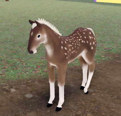 Marshmallow | Fawn Fjord