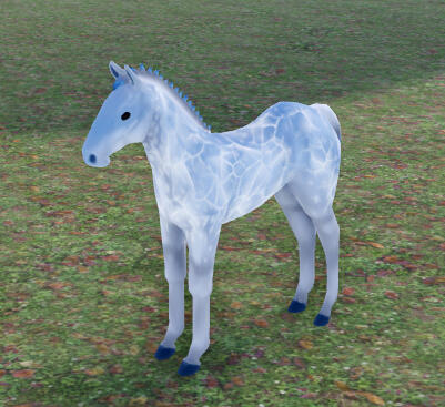 Honey Roasted Garlic | Icey Dapple Icelandic