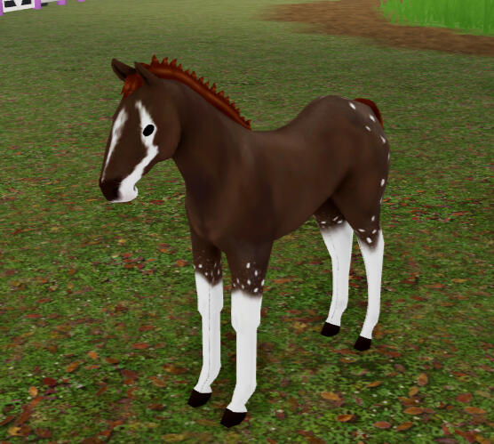 Supercow | Hot Cocoa Mustang