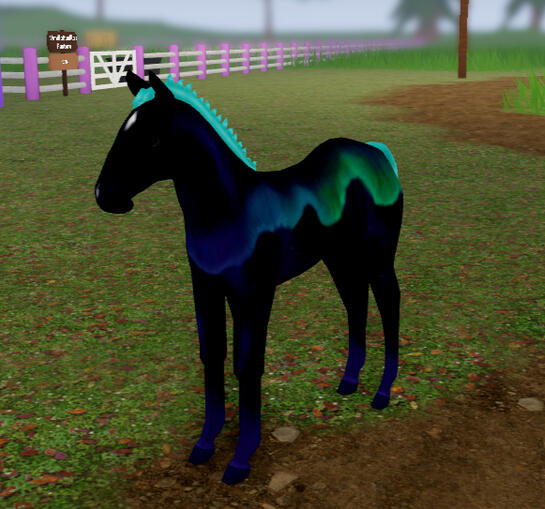 Pine Tree | Northern Lights Andalusian