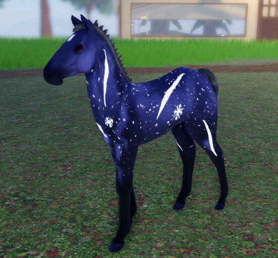 ??? | Midnight Storm Percheron