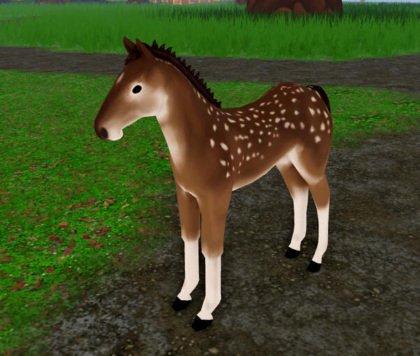 Butterscotch | Fawn Quarter Horse