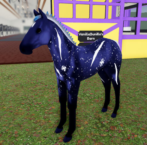 ??? | Midnight Storm Percheron