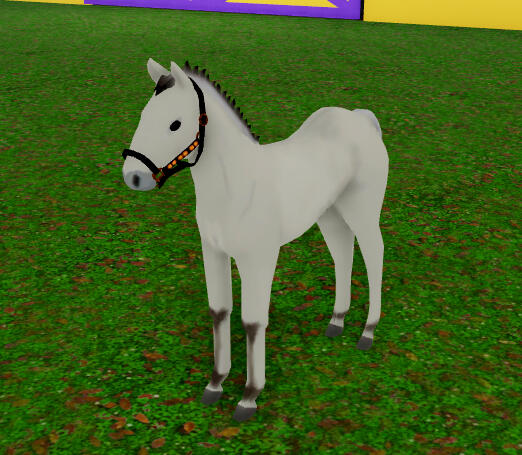 Protein Powder | Ulsblakk Fjord