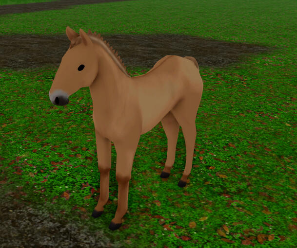 Fried Donut | Rodblakk Fjord