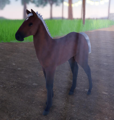 Eggo | Bay Percheron