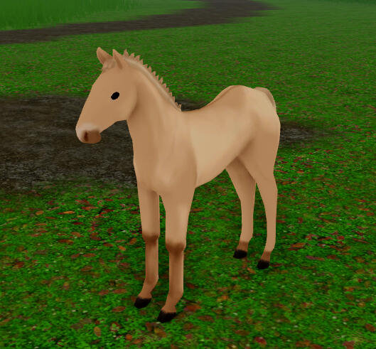 Funnel Cake | Gulblakk Fjord