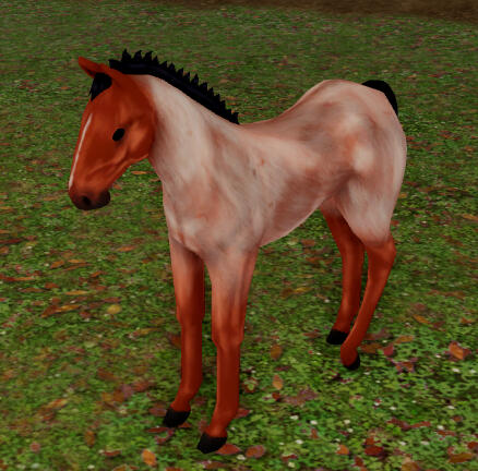 Mars | Red Roan Icelandic