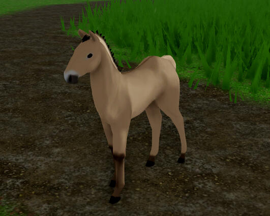 Stovetop Stuffing | Brunblakk Fjord