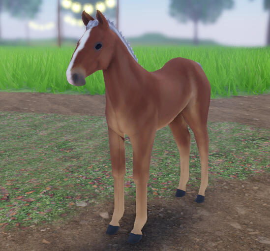 Pumpkin Bread | Chestnut Percheron