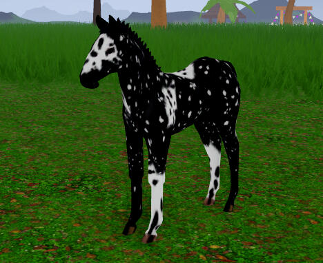 Bubbles | Snowflake Chimera Thoroughbred