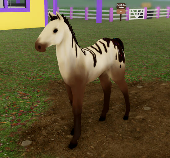 Cannoli | Icecream Drizzle Quarter Horse