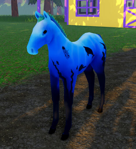 Jennifer | Deep Sea Clydesdale