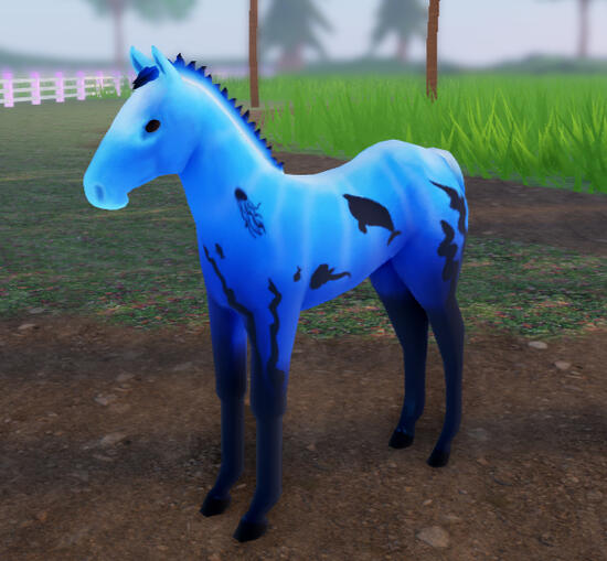 Marino | Deep Sea Clydesdale