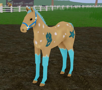 Pringle | Beachy Andalusian