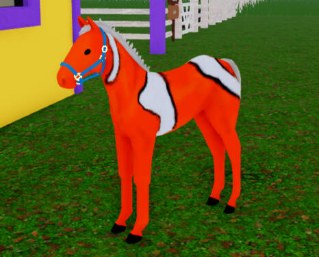 Forest Fire | Clownfish Mustang